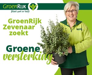 VERKOOPMEDEWERKER GROEN ( M/V) - 24 a 38 uur